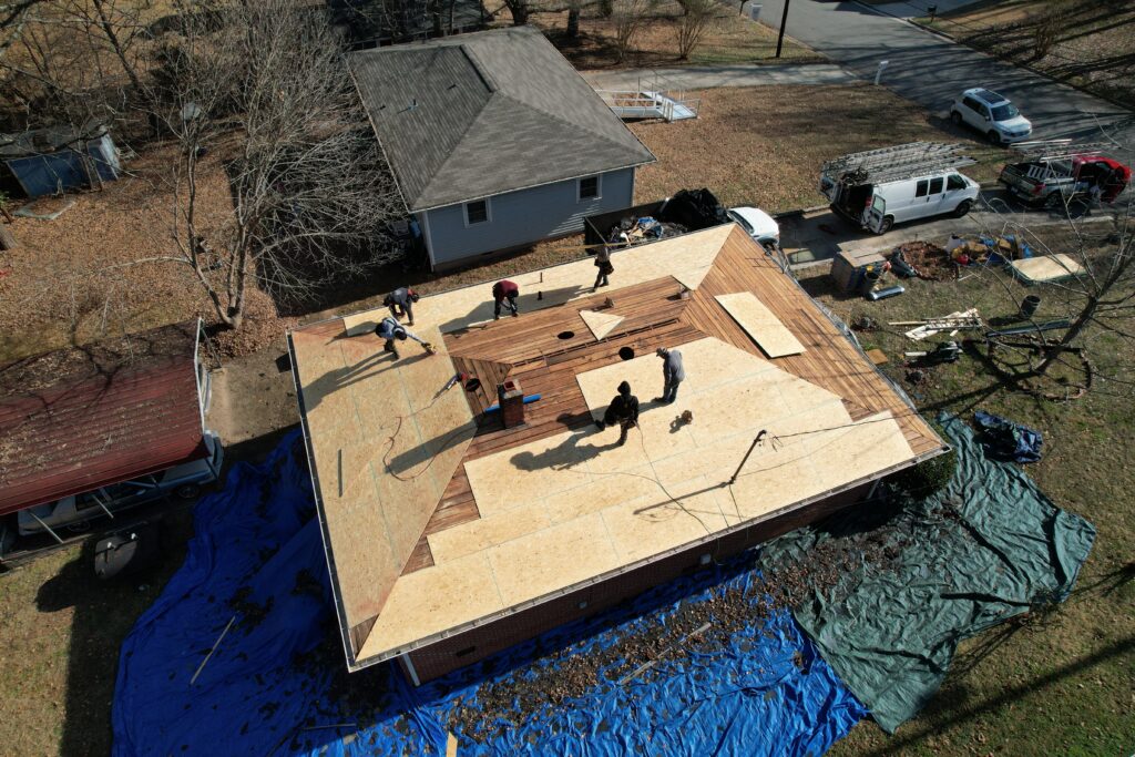 dji fly 20260121 111622 282 1769012336514 photo